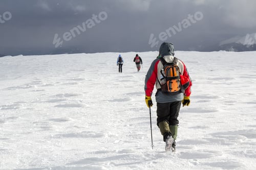 Preview: Back view of hikers walking on snow covered hill in winter mountains.