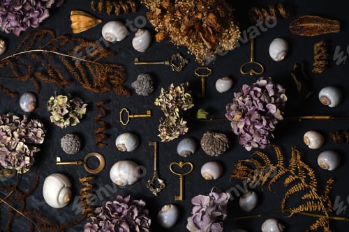 Preview: Arrangement of vintage keys, dried flowers and plants, shells