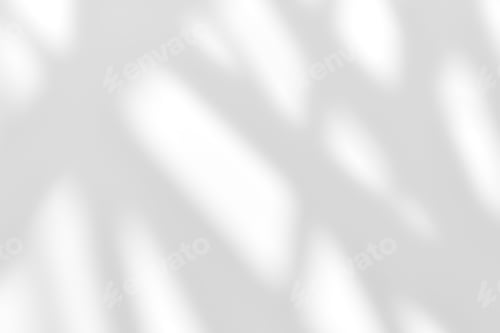 Preview: White wall with shadow of leaves overlay. Sunlight effect shadow on the wall.