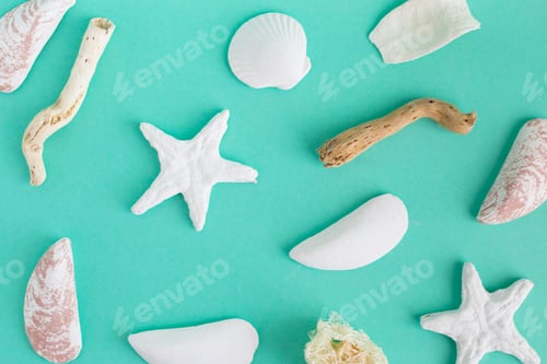 Preview: seashells on a bright background