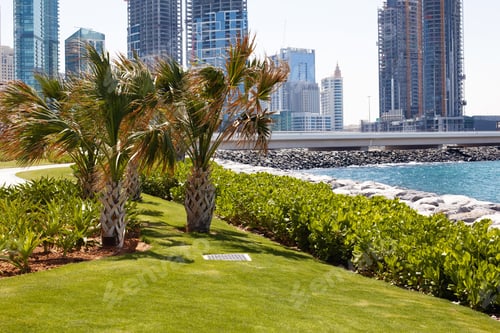 Preview: Dubai, April 2019 The construction of high-rise buildings in Dubai. View from the Blue Water Island