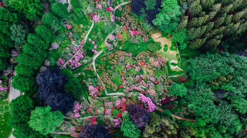 Preview: Lush Garden from Above with Colorful Flowers