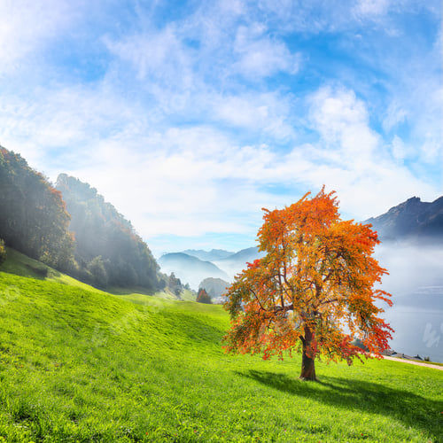 Preview: Gorgeous autumn view on suburb of Stansstad city and Lucerne lake with mountaines and fog
