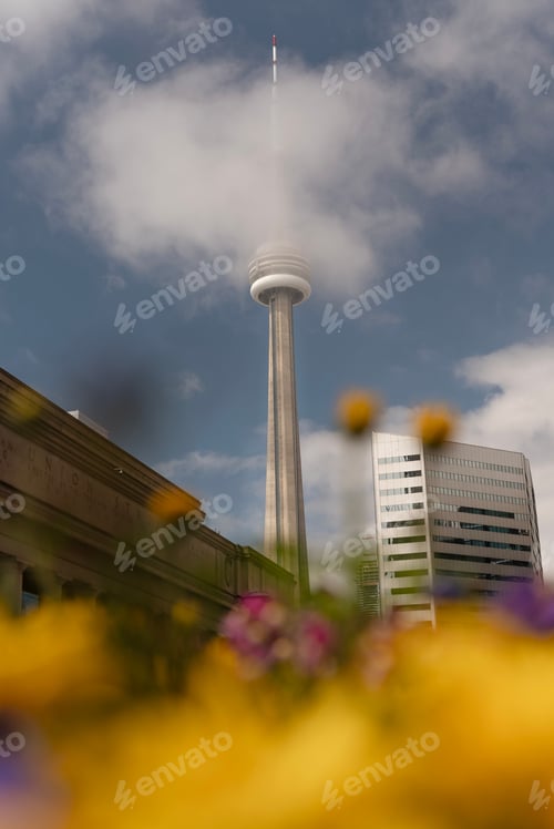 Preview: Toronto en Primavera