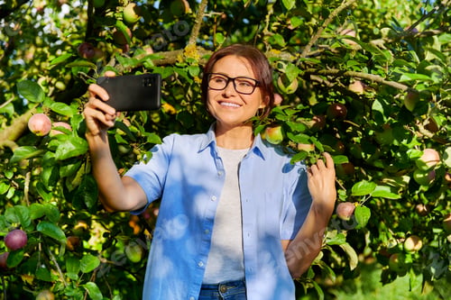 Preview: Happy woman takes photo of harvest of apples ripening on tree in garden