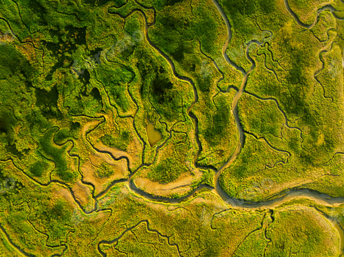 Preview: Nature from a drone. Aerial view of a meandering river in a field. Scene from air.
