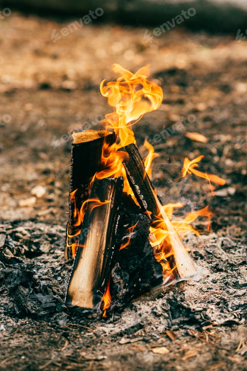 Preview: close up of burning timber bonfire in forest