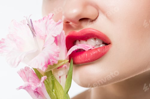 Preview: partial view of girl biting pink flowers, isolated on white