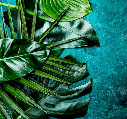Preview: Creative tropical leaves background. Trandy tropical leaves on turquoise slate background.