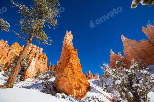 Preview: Winter Bryce