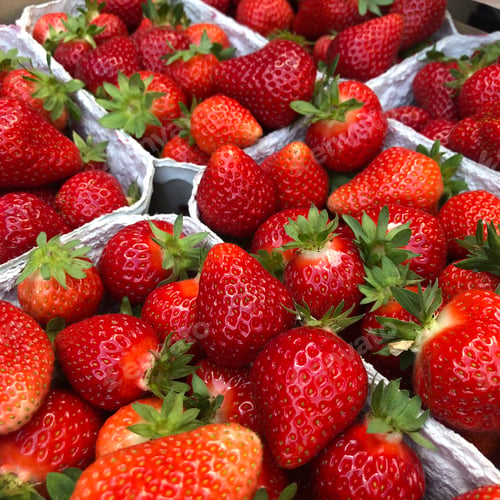 Vorschau: Frische Erdbeeren aus nächster Nähe