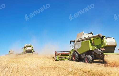 Preview: A few combines cutting a swath through the middle of a wheat field during harvest