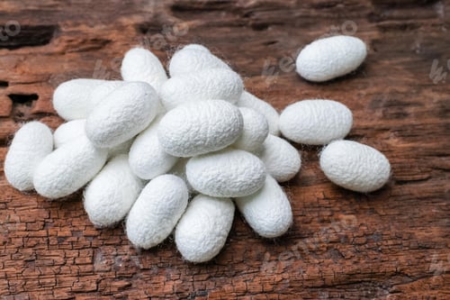 Preview: white silk cocoon, silky, fiber