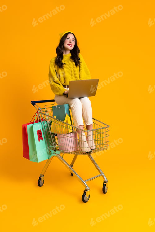 Preview: White woman using laptop while sitting in shopping cart