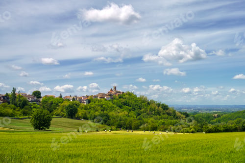 Preview: Landscape on the Tortona hills at springtime.