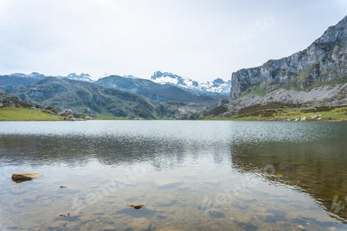 Preview: Detail of Lake Ercina in the Lakes of Covadonga. Asturias. Spain