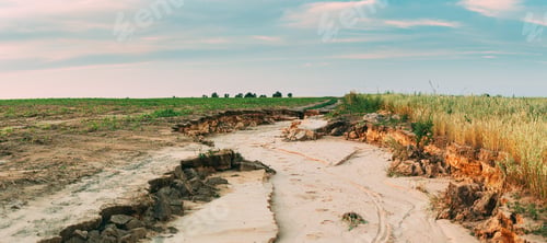 Preview: Country Road Washed Out After Heavy Rains On Field. Summer Field Agricultural Landscape. Panoramic