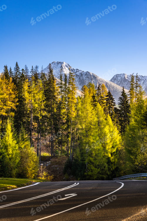 Preview: Curvy Road Trough Pine Forest at Autumn in High Tatra Mountains. Road trip and Adventure Concept.