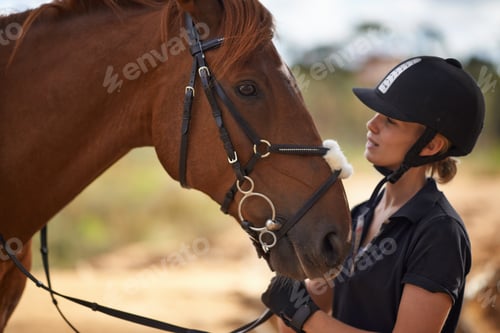 Preview: There is a bond between horse and rider