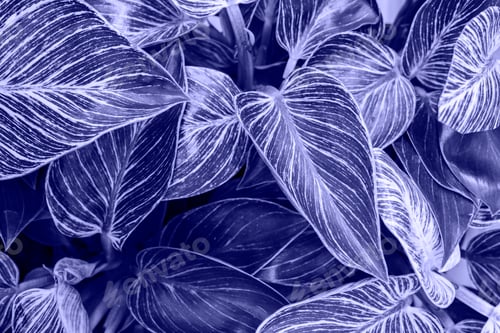 Preview: Color Of The Year 2022 - Very Peri.