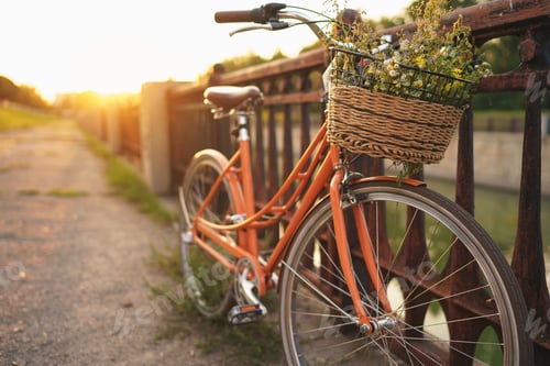 Preview: Beautiful bicycle with flowers in a basket stands on the street