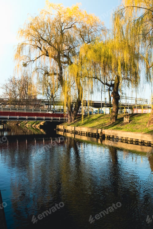 Preview: City park on sunny spring summer weather. Park with river reflections, trees and green grass