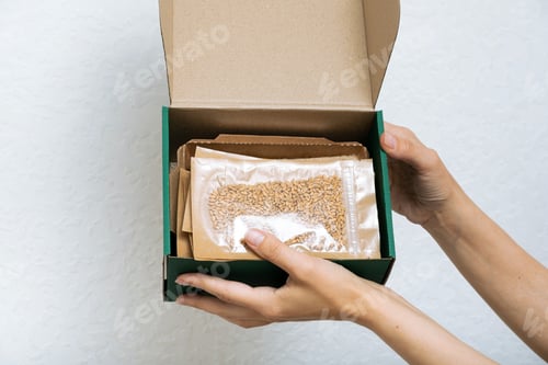 Preview: A set for growing sprouts from seeds ib female hands.