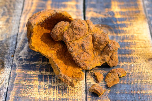Preview: peeled wild birch chaga mushroom for brewing natural fungus tea on a wooden surface