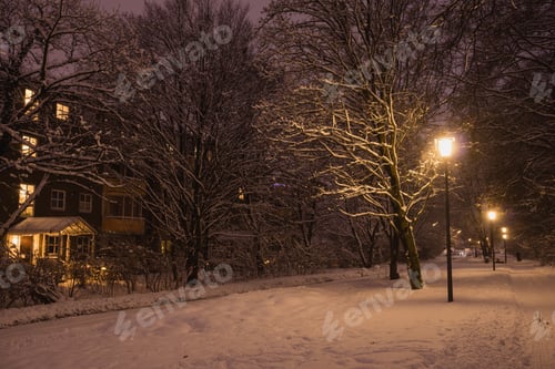 Preview: Street lamps near winter path
