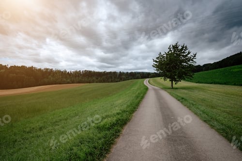 Preview: An empty country road through the green fields