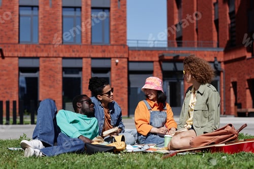 Preview: Cheerful young students enjoying picnic on grass in modern college campus
