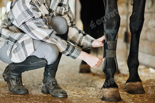 Preview: Safety Gear for Horses