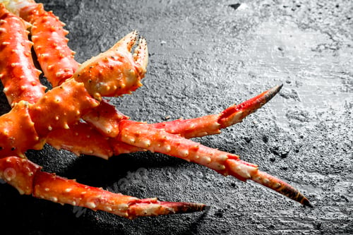 Preview: Fresh sea crab.