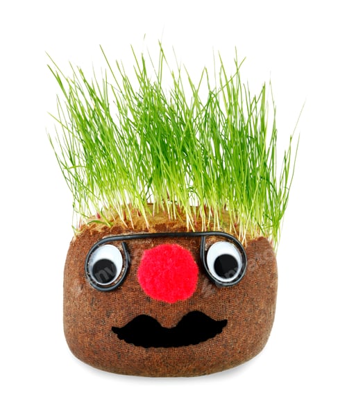 Preview: Puppet with ground wheat sprouts for hair.