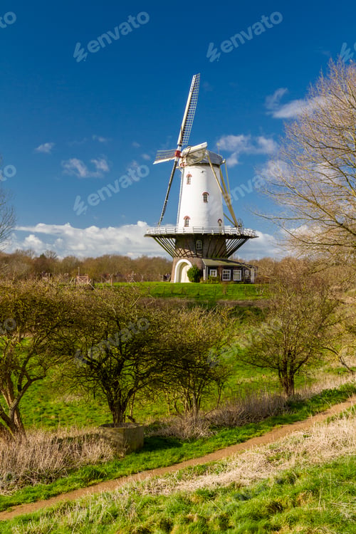Preview: White windmill in Veere 7