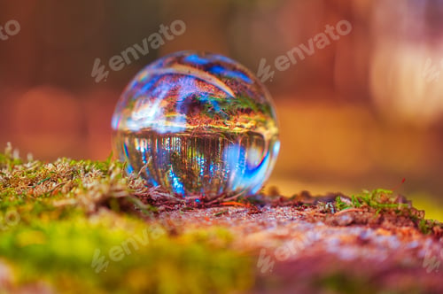 Preview: Close-up view from a lens ball of the landscape in autumn.