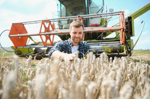 Preview: Farmer Standing In Wheat Field At Harvest
