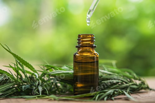 Preview: Cannabis herb and leaves with oil extracts in jars. medical concept