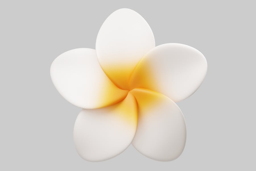 Cover for White flower with yellow petals