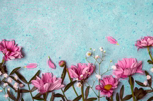 Preview: Spring Summer Creative nature background. Pink flowers border