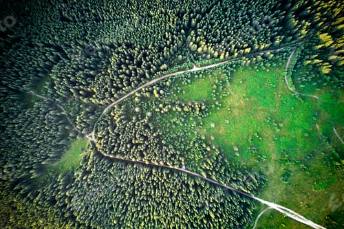 Preview: Mountain forest with green trees, roads and hiking paths.