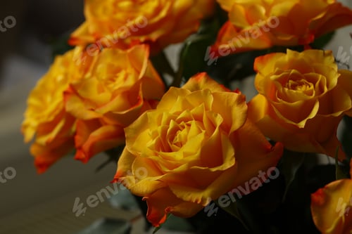 Preview: beautiful bouquet of orange roses with delicate petals