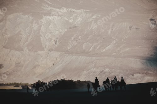 Preview: Silhouette image of camels caravan in the Hunder desert , Nubra valley ,India