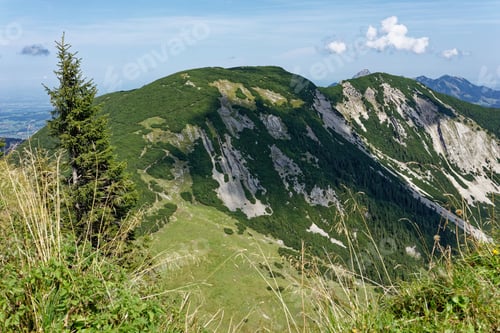 Preview: Mountain landscape with a coniferous tree