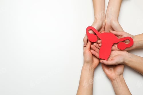 Preview: Women's health and women's healthcare concept with uterus