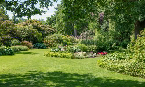 Preview: Beautiful Green english Garden Landscape with Flower Beds and Trees