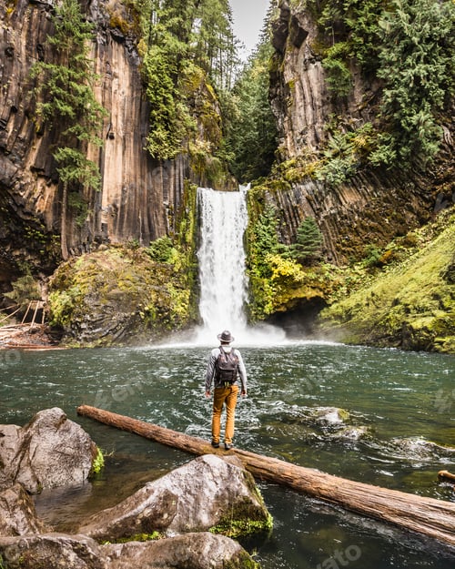 Preview: Man standing on log looking at Toketee Falls; Umpqua National Forest, Oregon, USA