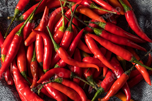 Preview: Healthy Organic Thai Red Chili Peppers