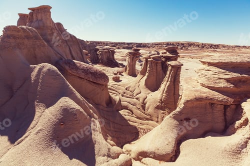 Preview: Bisti