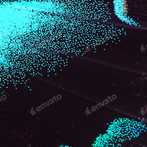 Preview: blue and green butterfly wing
